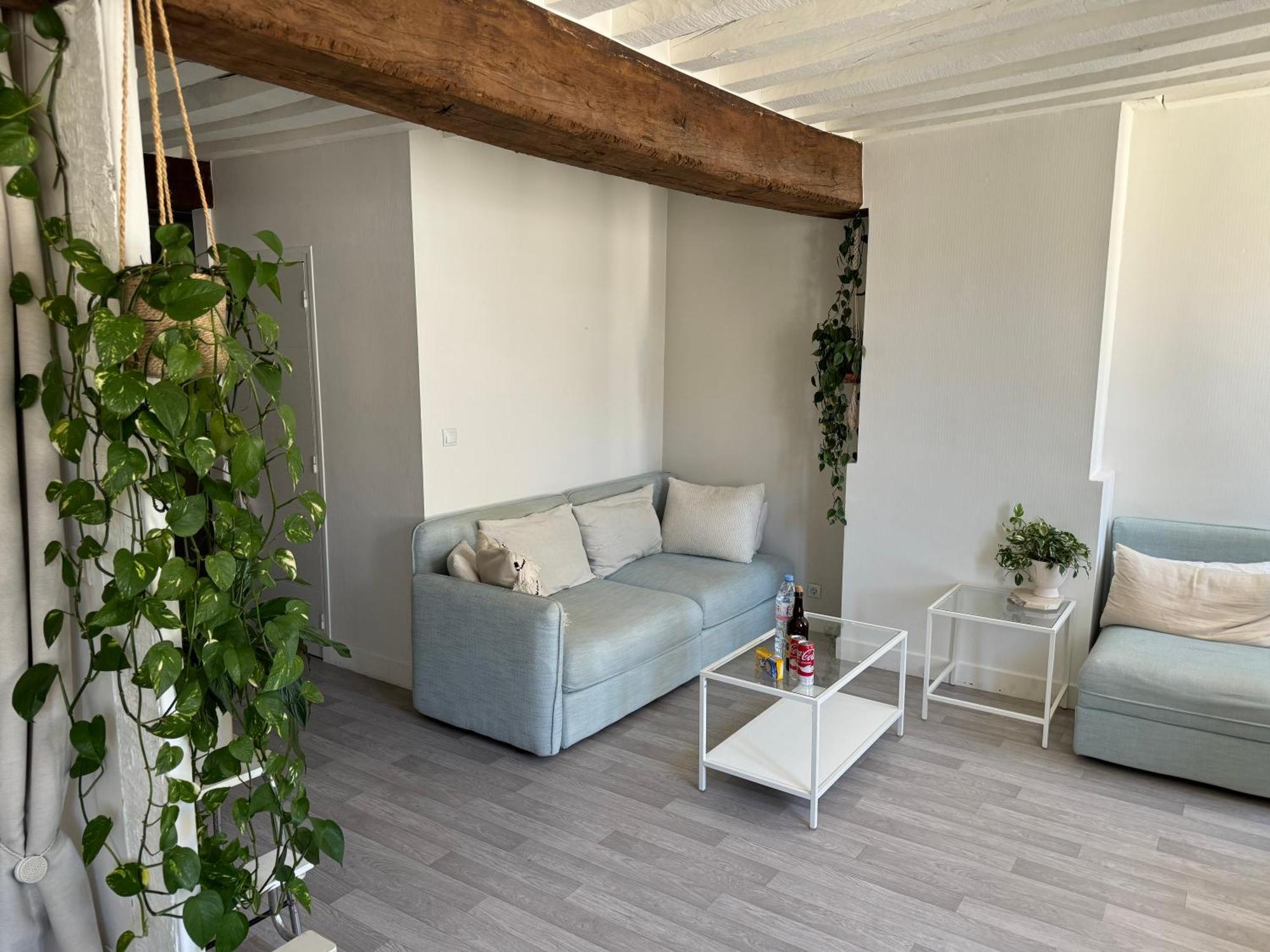 Appartement Central - Orleans Luaran gambar