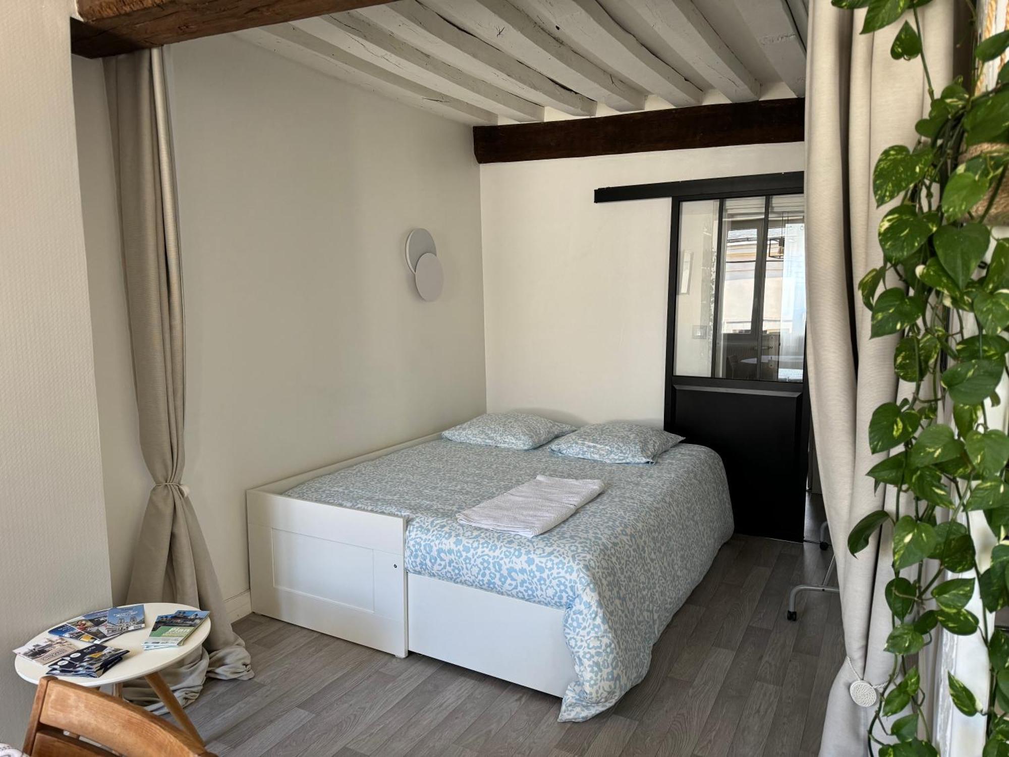 Appartement Central - Orleans Luaran gambar